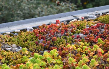 the cost of Meir Heath green roof installation