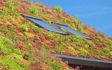 Meir Heath living roof systems