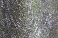 Meir Heath fibreglass roof work